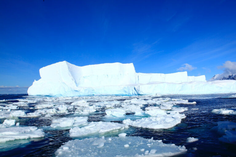 「オホーツク海の流氷」をイメージして作った、本格的インドカレーの返礼品
