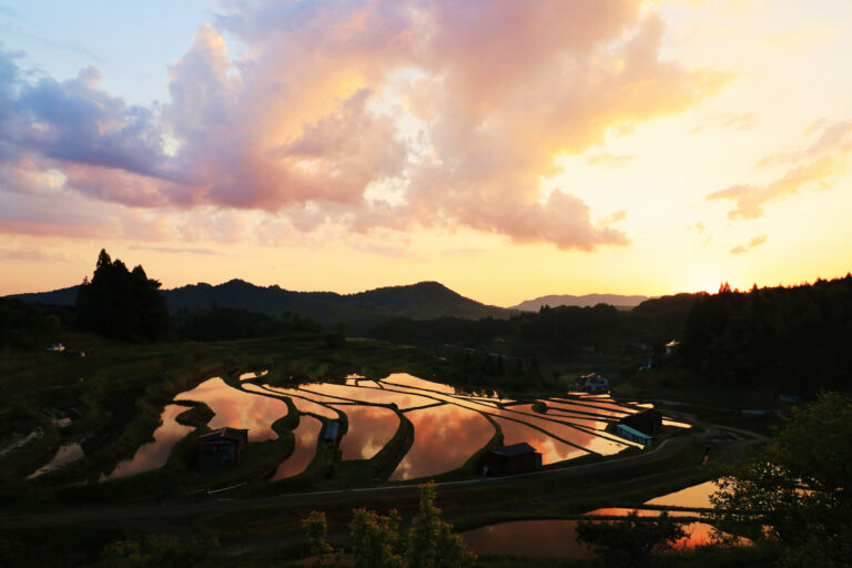 ふるさと納税で知る山口県周南市 鹿野ファーム！