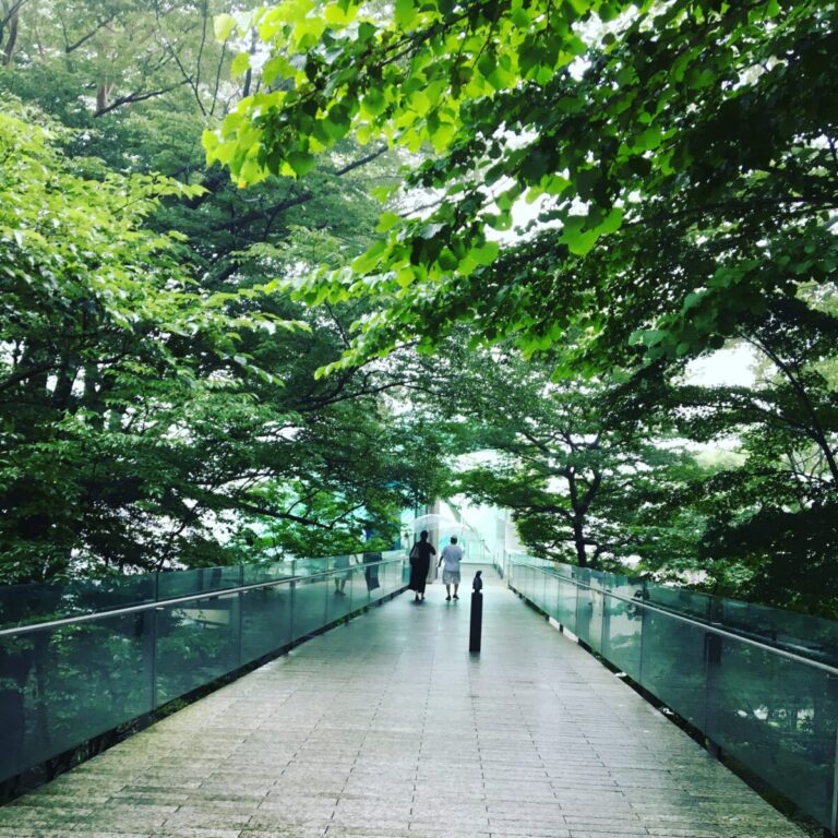 箱根の森の中の美術館でとっておきのひとときを「ポーラ美術館」
