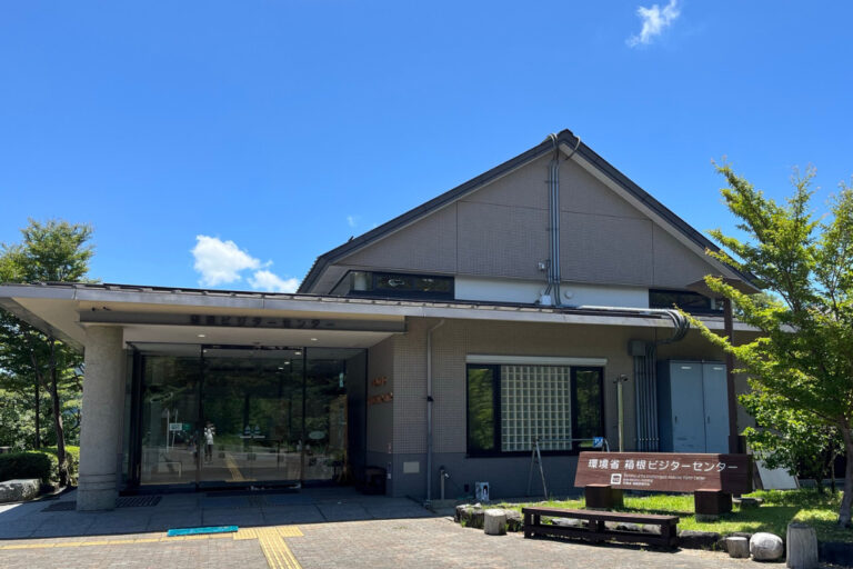 箱根の森を子供と無料で楽しむ!箱根ビジターセンター自然「感察会」