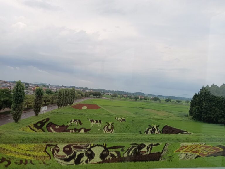 これぞ自然美！田んぼアートを見よう｜福島県鏡石町