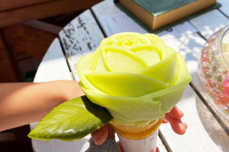 薔薇づくしのひとときを! 高台から温泉街を見渡すRose Garden