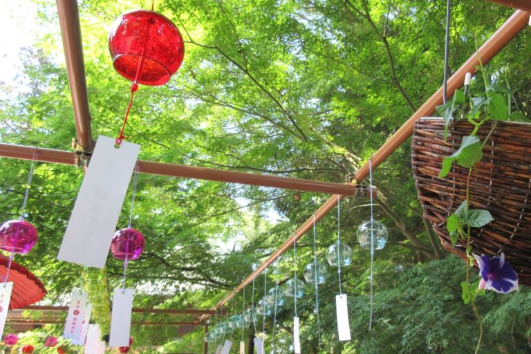 色彩と音色の参道とは？いわき市「國魂神社」の夏詣（なつもうで）