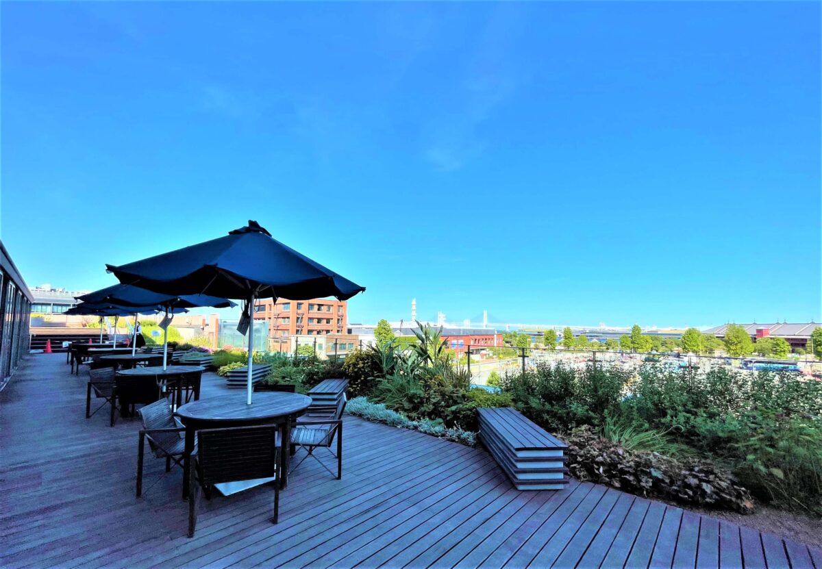 みなとみらいの隠れ絶景ポイント、JICA横浜 「ポートテラスカフェ