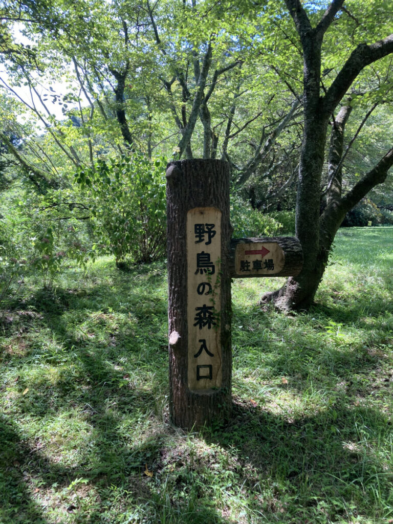 バードウォッチングに最適！珍しい鳥たちがハーモニーを奏でる「斗蔵山・野鳥の森」