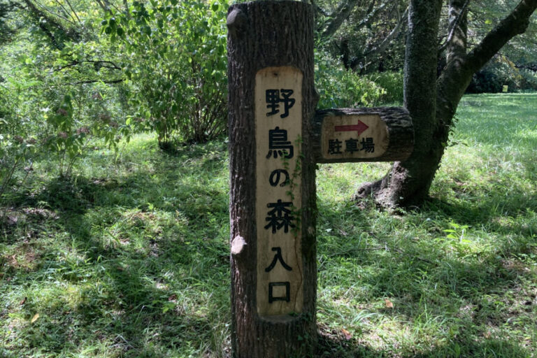 バードウォッチングに最適！珍しい鳥たちがハーモニーを奏でる「斗蔵山・野鳥の森」