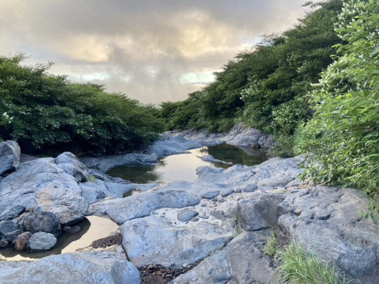 大地のエネルギーを感じよう！10分の散策で絶景が見られる阿蘇・仙酔峡