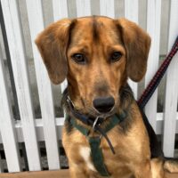 犬山　涼