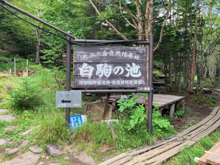 神秘的な苔と原生林、北八ヶ岳の白駒の池