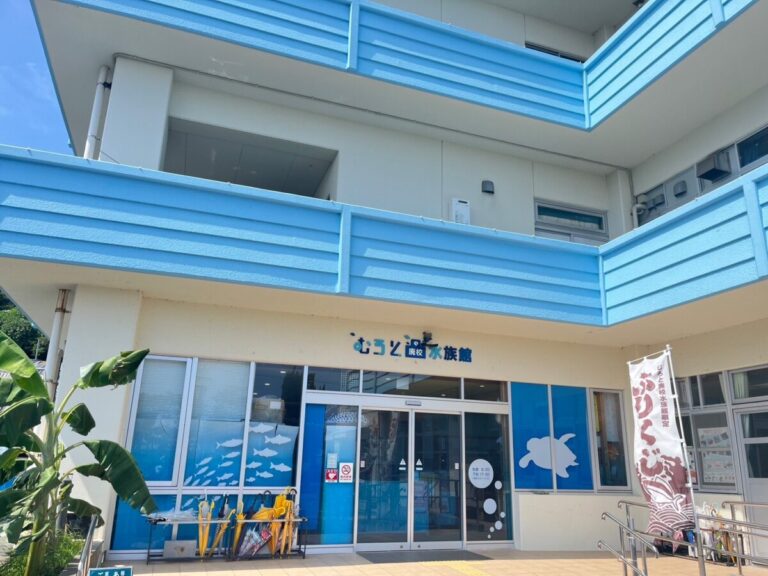 自分たちの「楽しい」が響くと人は集まる!【前編】｜むろと廃校水族館
