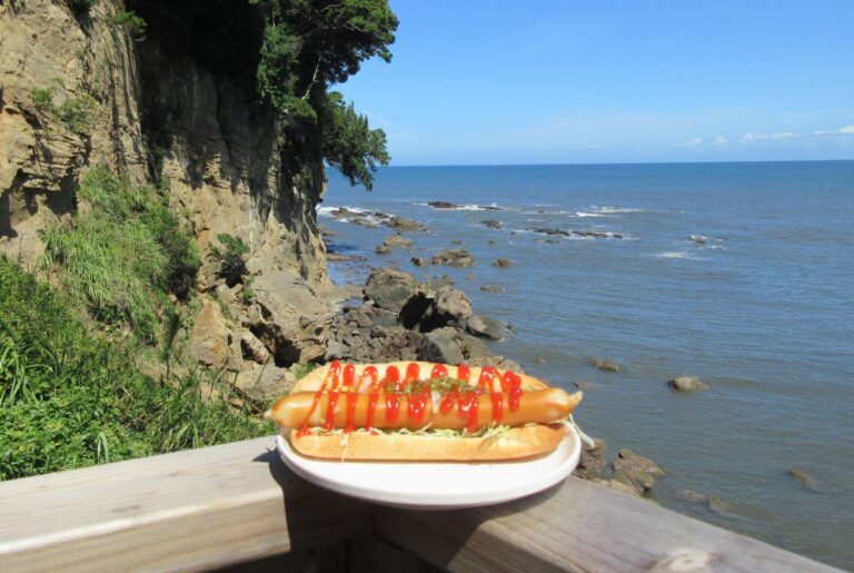 お隣さんは太平洋！ホットドッグといわきの自然を味わう「海カフェ」