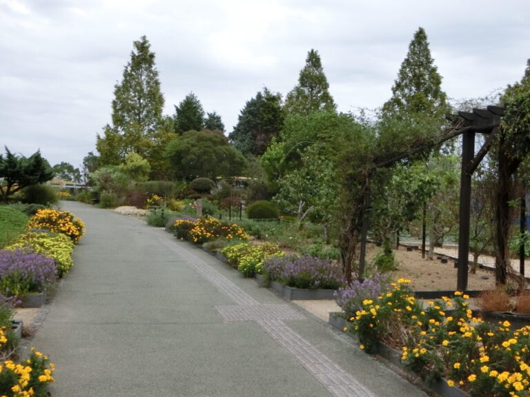 大人が楽しむ！ひまわりの丘公園