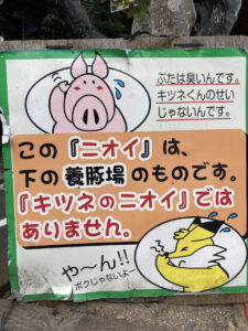 蔵王キツネ村に潜入！