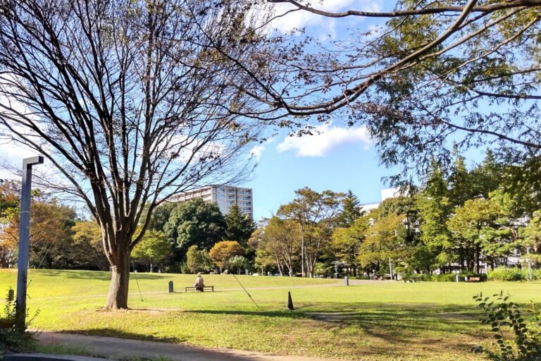 いわきのリラックス空間「平中央公園」お散歩などいかがですか？