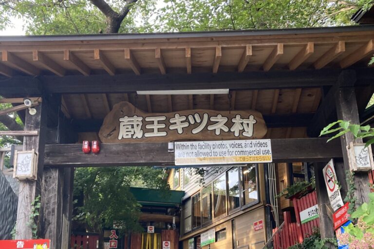 100匹以上のキツネが見られる国内唯一のキツネ動物園「宮城蔵王キツネ村」とは