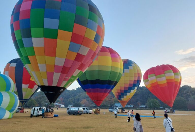 朝から夜まで違った楽しみ方ができる！おやまバルーンフェスタ｜栃木県小山市