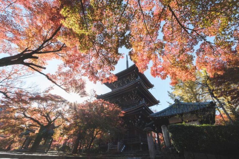 京都の穴場紅葉スポットを紹介！圧巻の紅葉が境内に広がる「真正極楽寺・真如堂」