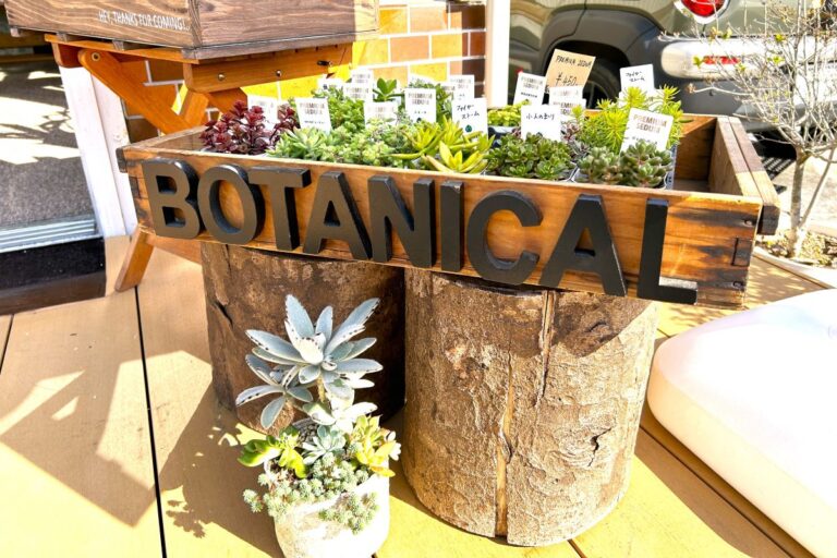 生まれ育った横須賀市で、多肉植物を通した地域コミュニティを【BOTANICAL TREAT】
