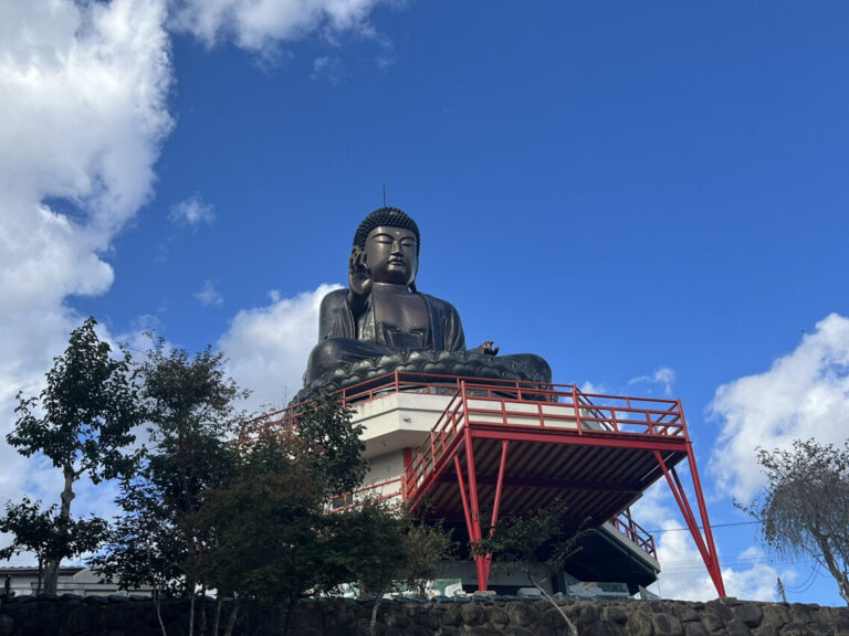 ライブ・プロレス・ディスコまで!?これぞニューノーマル「愛子大佛 佛國寺」｜仙台・愛子【前編】