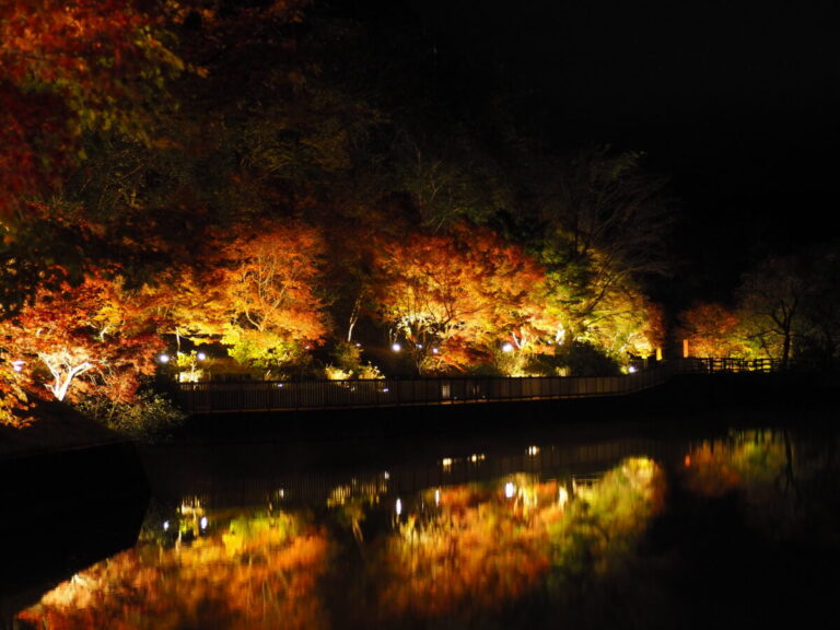 【3日間限定のライトアップあり】豊田市大沢池で見られる絶景の逆さ紅葉を見逃すな！