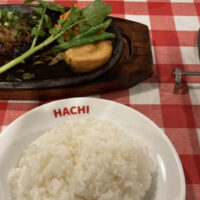 「HACHI」を徹底リポート!
