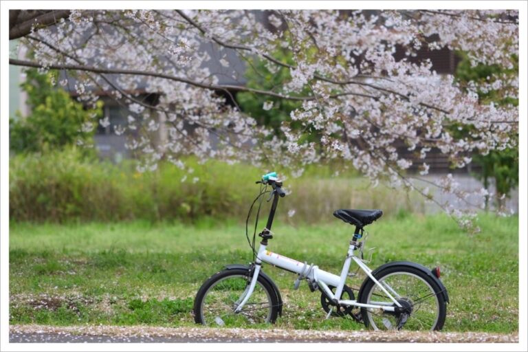 ずーっと桜?武蔵野の森“お花見ロード”を地元ライターがご案内|東京都調布市