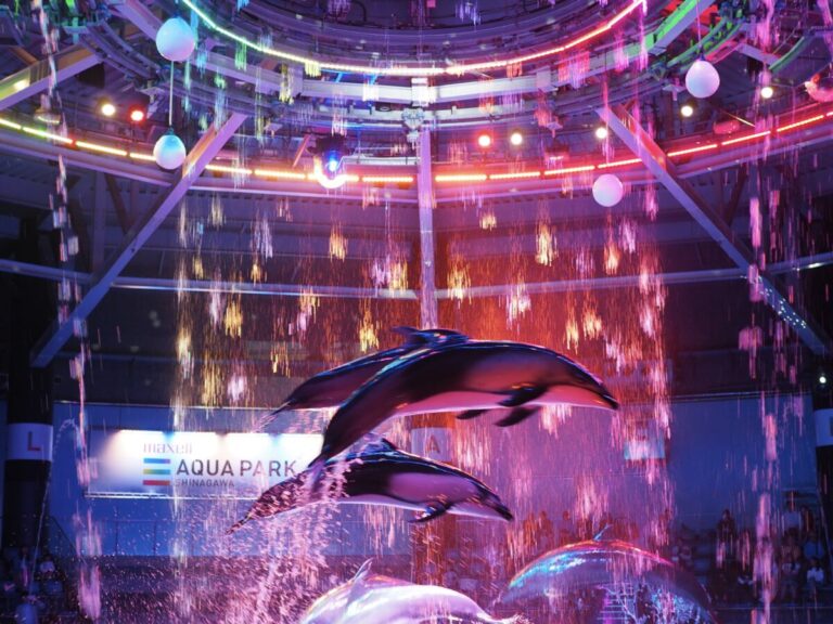 駅徒歩5分、仕事終わりに駆け込みたい水族館・アクアパーク品川|東京都港区