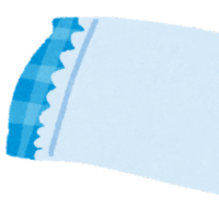 入川 枕（いりかわ まくら）