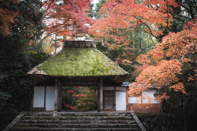 法然院の魅力とは?京都の四季をゆったり感じられる寺院を紹介