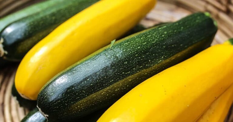 【農業を知る】小さな農家として生きる「雨風ふぁ〜む」の安全でおいしい野菜づくり：直売