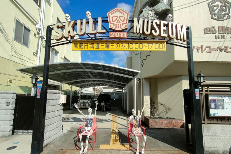 兵庫の名物博物館「シャレコーベ・ミュージアム」が閉館の危機!前館長の遺志を継ぐ長女の思い