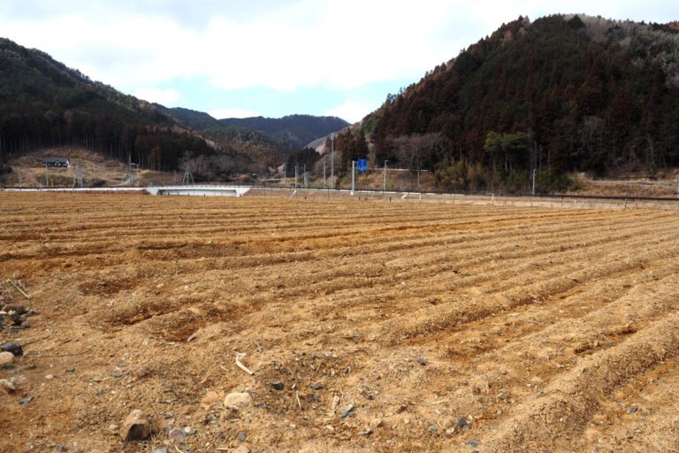 津波被災の中学校跡地をぶどう畑へ！宮城県雄勝町「MORIUMIUS FARM」が拓く未来