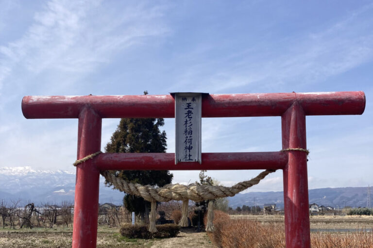 「おろ杉伝説」発祥の地！風情漂う”王老杉稲荷神社”