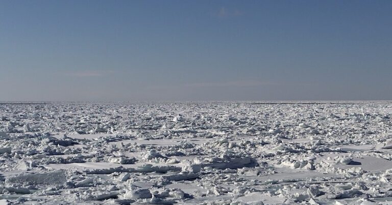 北海道世界遺産「知床斜里」オホーツク海を埋めつくす【流氷】は寒いだけじゃない！！