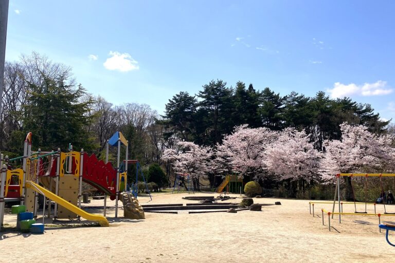 桜と自然を満喫しよう！春の岩沼市朝日山公園をのんびり散策してみました | 地方創生メディア Mediall（メディアール）