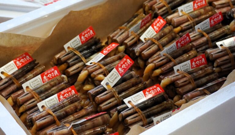 全国でここだけの”極上貝”｜佐世保の赤マテ貝