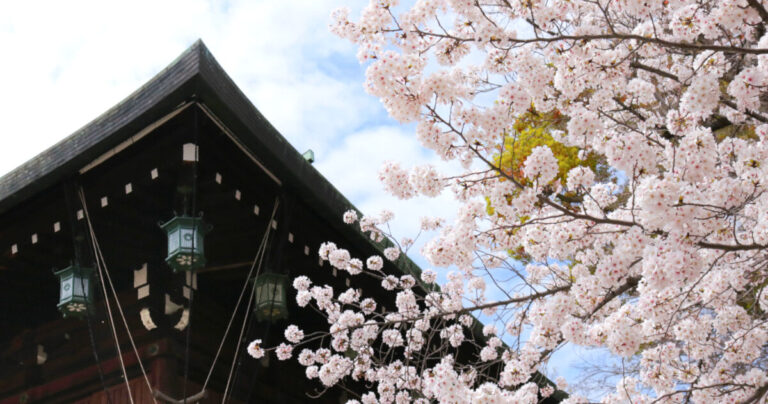 東大阪市の２大桜坂｜石切・枚岡で生駒山麓の自然を愛でる。