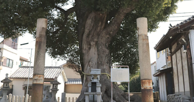 クスノキが見守る歴史、御厨天神社の大修復【前編】｜東大阪市
