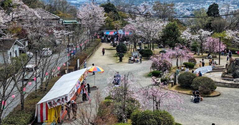 春爛漫 多治見のオススメお花見スポット紹介 桜の名所「虎渓公園」と穴場を散策