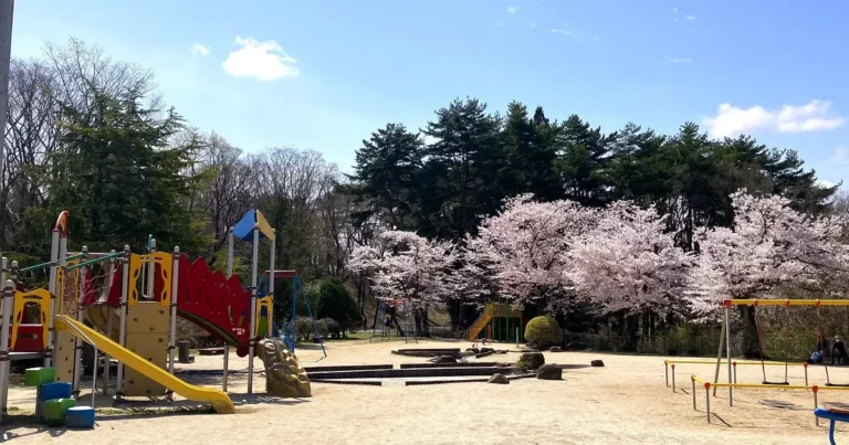 桜と自然を満喫しよう！春の岩沼市朝日山公園をのんびり散策してみました