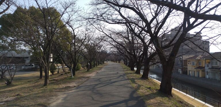 冬木立から春の装いへ。廿日市市にある｢住吉堤防敷｣をぶらりと散策してみる。