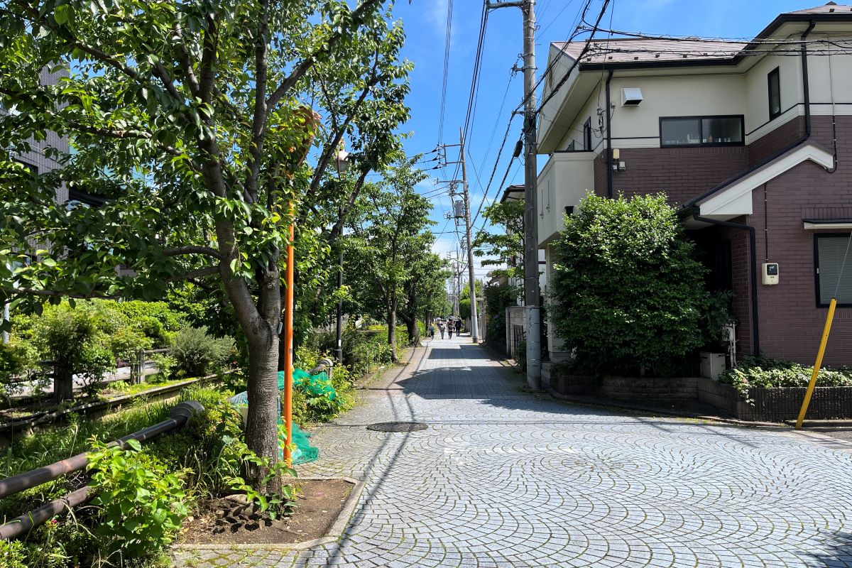 都会の喧騒を忘れる「呑川緑道」を散歩しよう！｜東京都世田谷区 | 地域創生メディア Mediall（メディアール）