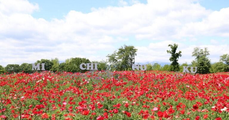 1日では遊びきれない?!大自然に囲まれたアウトドアフィールド|宮城県 国営みちのく杜の湖畔公園