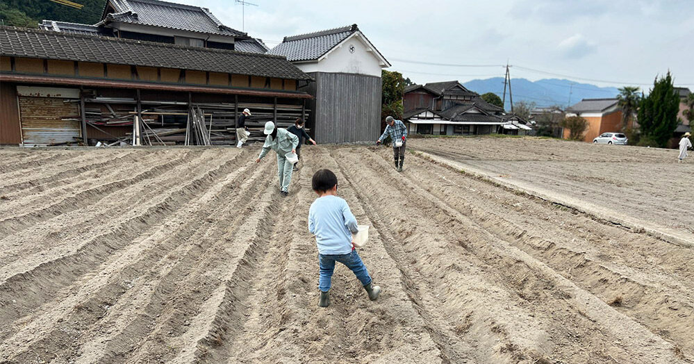 【体験談】小麦栽培からパン作りまで！山口県周南市の三丘パン研究会に参加してきた