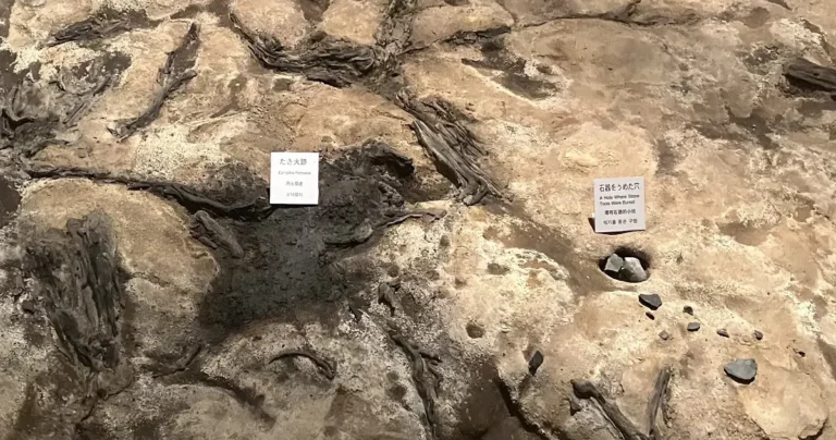 解き明かされる謎！富沢遺跡から発見された2万年前の遺跡と旧石器人の痕跡｜宮城県仙台市
