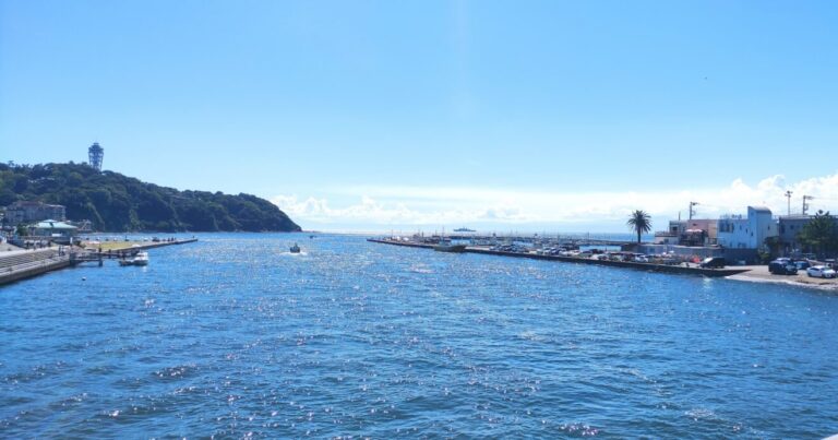 地産地消を推進！｜「いいじゃん！かながわフェア」神奈川県内のセブン−イレブンで開催中