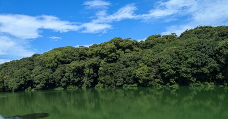 古墳を巡る世界遺産ウォーキング～健脚向けコース～｜大阪府羽曳野市【後編】
