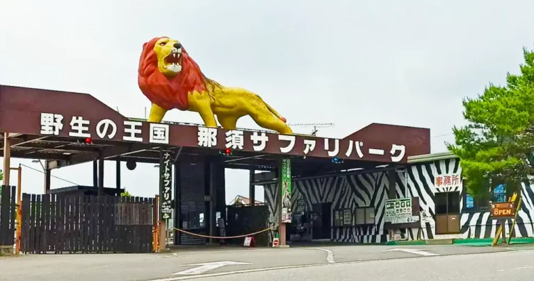 ライオンやキリンに真近でエサやりしよう！那須サファリパーク