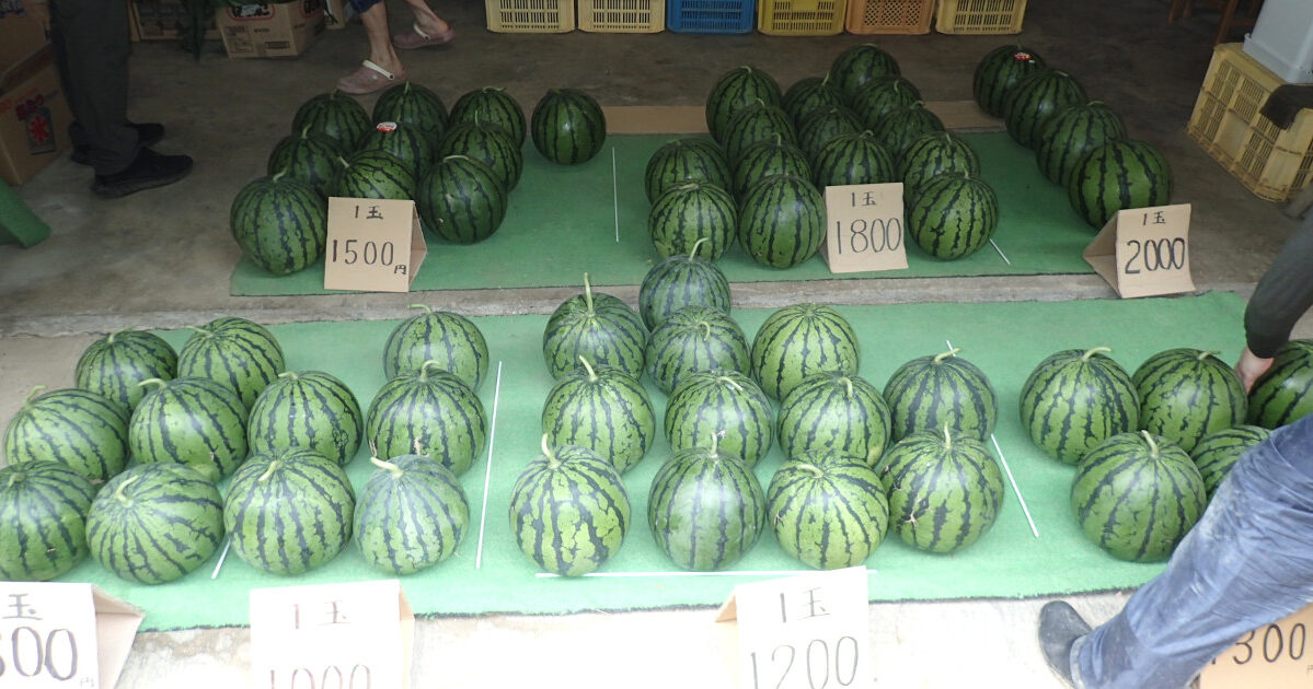 牛窓の【スイカ】は直売所『みどりの屋根のすいか屋さん』で決まり