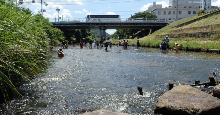 岡山県赤磐市を流れる【砂川】にはどんな魚がいるの？生物調査に参加した衝撃の結果は！